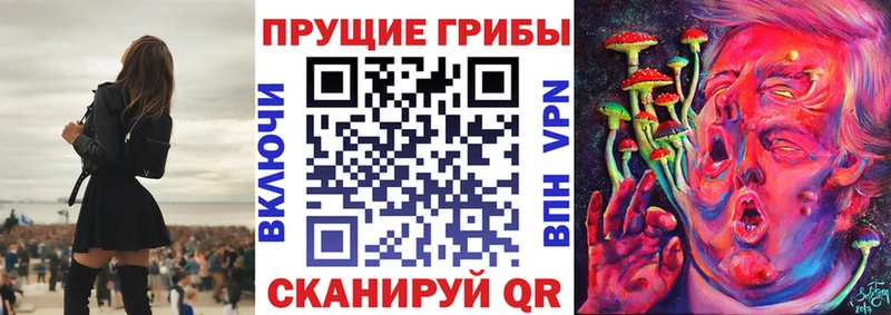 Псилоцибиновые грибы Psilocybe  omg как войти  Амурск 